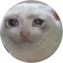 Max Chemnitz profile picture